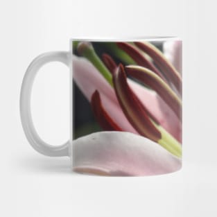 Beautiful photograph of lily flower Mug